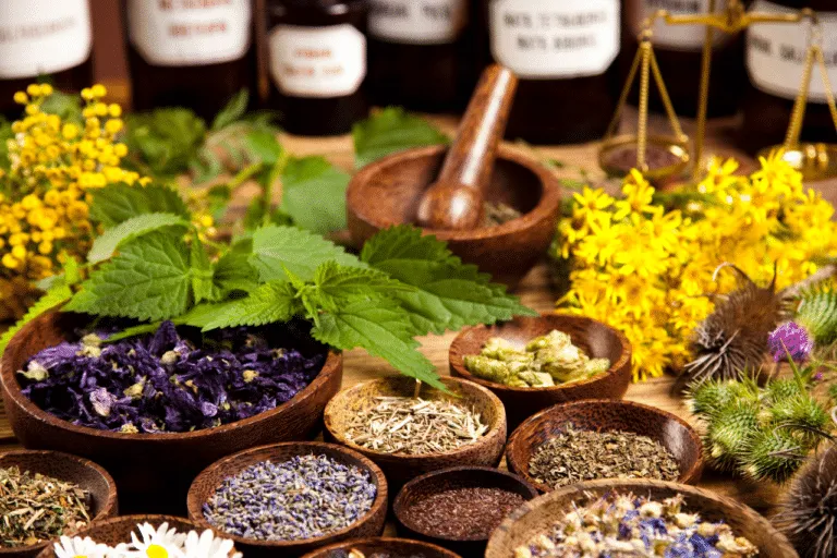 Scopri di più sull'articolo Erbe Antinfiammatorie per Promuovere il Benessere Naturale