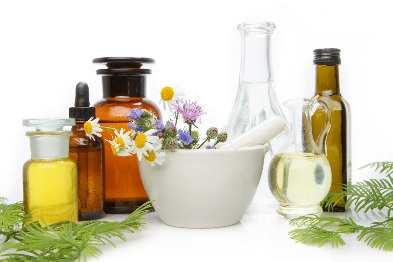 Al momento stai visualizzando Curarsi con le Erbe: Guida Completa per Migliorare il Benessere Naturale