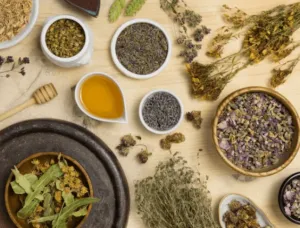diverse piante officinali esposte in dei contenitori di diverse grandezze