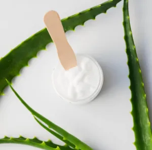 Un contenitore piccolo con della crema di aloe vera con diverse foglie di aloe intorno