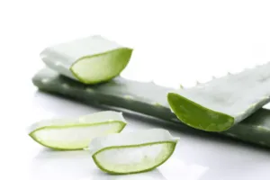 Scopri di più sull'articolo L’uso dell’aloe vera erboristeria