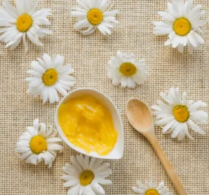 Un vasetto di vetro a goccia in cui è contenuta una crema di camomilla con altri oggetti di decorazione intorno