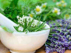Diverse erbe per creare prodotti erboristici